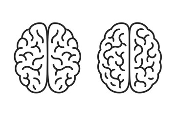 Minimalist simple line drawings of human brains showcasing left and right hemispheres, vector cartoon illustration set with transparent background, scientific neural anatomy concept