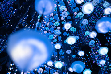 Glowing blue and white lights create a captivating spectacle, evoking a sense of wonder and...