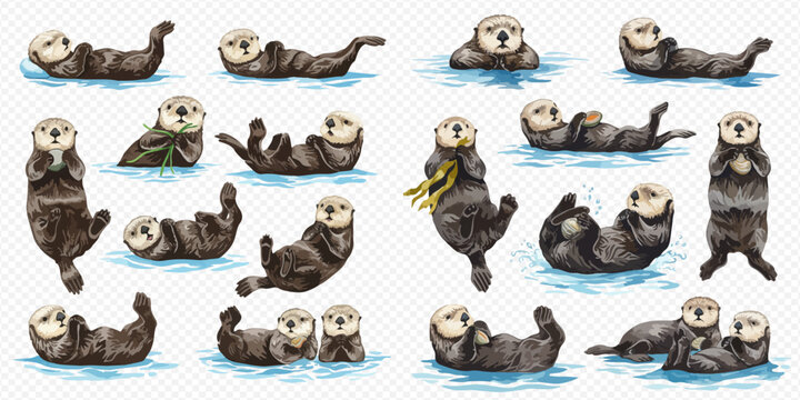 A charming collection of hand-drawn sea otters in various playful poses, swimming and floating in the water.