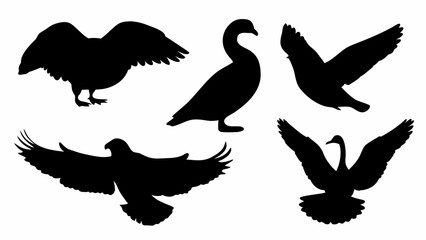Naklejka premium Silhouette illustration showing different types of birds in various poses and flying positions isolated