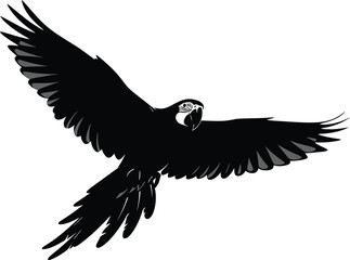 Obraz premium Silhouette of a macaw parrot in flight, showcasing its wingspan and elegant form in a minimalist black and design