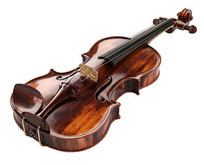 Obraz premium Detailed view of a classic violin