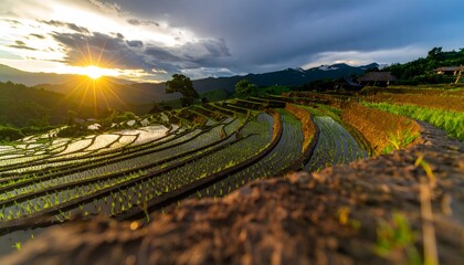 Rice terraces glowing under vibrant sunset, overlooking majestic mountains. Perfect for travel brochures, nature websites, and inspiring backgrounds.