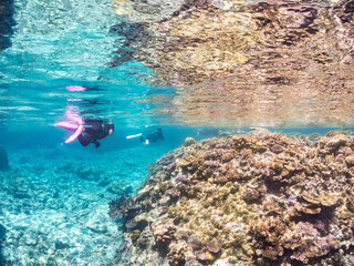 素晴らしいサンゴ礁の美しいデバスズメダイ（スズメダイ科）の群れ他。
水面にはスキンダイバーも泳いでいる。
半水面撮影。
沖縄県島尻郡慶良間諸島座間味島嘉比島-2025/6/27
