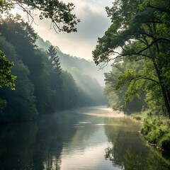 Misty morning in the forest with river and sunlight reflections