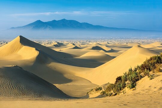 Vast expanse of golden dunes, a distant mountain range, and pale blue sky