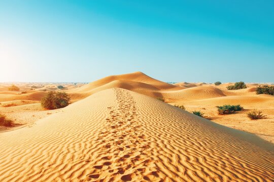 Sunny desert landscape, footprints on sand dune