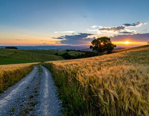 Scenic rural landscape at sunset