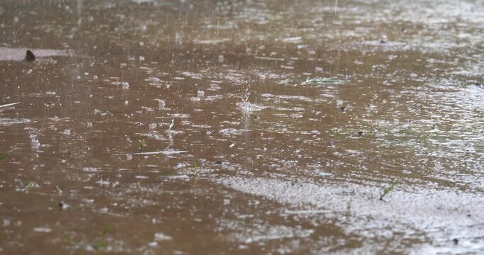 Raindrops on the ground, rain falling in the countryside, rainy season