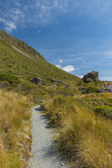 ニュージーランド　アーサーズ・パス国立公園のドブソン・ネイチャー・ウォーク沿いの風景