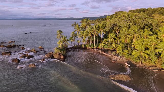 Aerial view of a tranquil beach where emerald palm trees meet the dark sand and the ocean waves, Nuqu&iacute;, Choco, Colombia.
