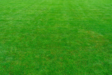 Soccer field - playing field from above. A huge copy space texture panorama © Igor