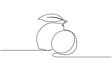 Continuous one line drawing of Citrus fruits vector illustration. Editable outline