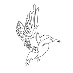 One continuous single drawing line art flat doodle bird, hummingbird, background, feather, beautiful, wing, color. Isolated image hand draw contour on a white background
