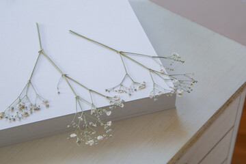 押し花のカスミソウ｜白背景のシンプルな花素材