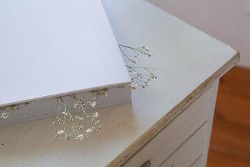 押し花のカスミソウ｜白背景のシンプルな花素材