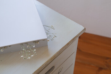 押し花のカスミソウ｜白背景のシンプルな花素材