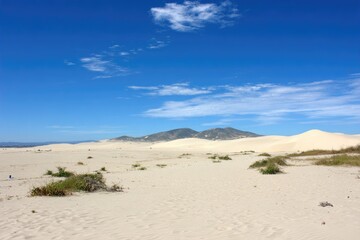 Vast expanse of pale sand desert meets a clear blue sky