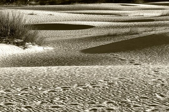 Sepia-toned desert landscape with sand dunes and footprints