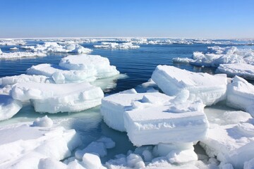 Ice floes on a bright blue sea