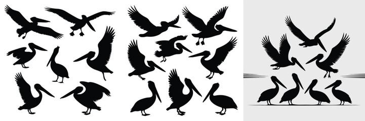 Pelican Silhouette Illustrations Flying, Standing, and Grouped Bird Vectors for Design Projects