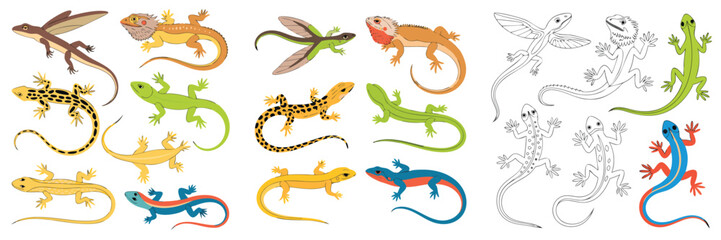 Fototapeta premium Variety of Colorful Cartoon Lizards and Sketches Bearded Dragon, Flying Gecko, and More!