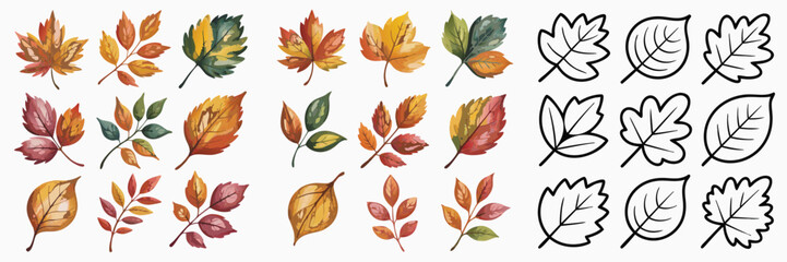 Obraz premium Watercolor Autumn Leaves Collection with Black and White Outlines on a White Background