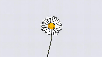 Simple hand drawn daisy flower illustration on a light background