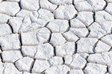 Dried, cracked white earth (1)