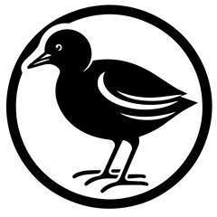 Black bird with white eye and wing markings standing inside a black circle on a white background view