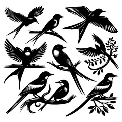 A collection of black and white magpie bird illustrations in various poses and perched on branches design
