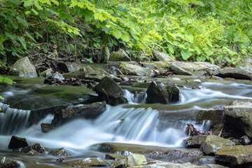 W Dolinie Szczawnika w Muszynie latem. © rogozinski