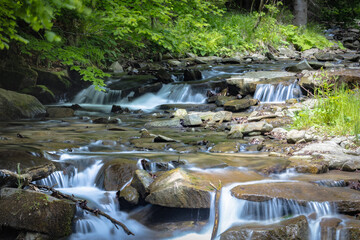 W Dolinie Szczawnika w Muszynie latem. © rogozinski