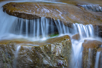 W Dolinie Szczawnika w Muszynie latem.