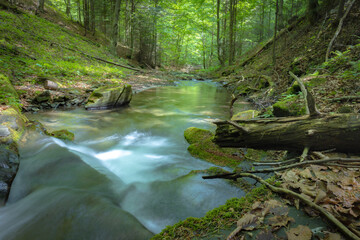 W Dolinie Szczawnika w Muszynie latem. © rogozinski