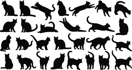 Set of 24 cat silhouettes in various poses, black feline shapes for design, illustration, pet art, animal behavior reference