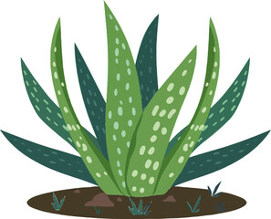 Isolated a kinds of deferent aloebera leaf, plant,  nature, flower, leaves, aloe, tree, white, pot, illustration, branch, flora, herbal vector art with white background.