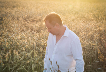 Person in a tall rye field at golden hour, wearing a white shirt and looking down. Warm sunlight creates a peaceful, rustic mood.