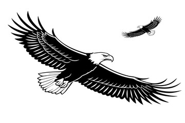 Obraz premium falcon, eagle flying in open sky silhouette