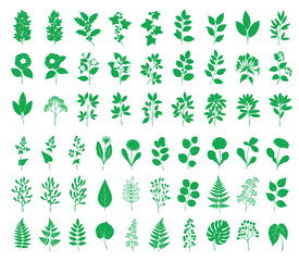 Set of detailed various flowers and foliage, intricate details and delicate forms. Hand drawn vector illustration with elegant botanical elements for invitation, save the date card