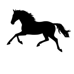Obraz premium Dynamic silhouette of a horse running.