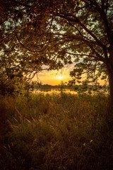 sunset over the lake