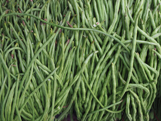 Fresh vegetables sold wholesale at cheap prices in the market