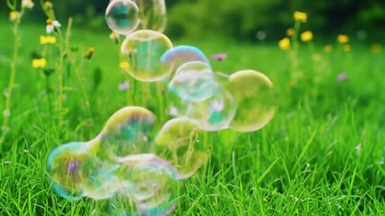 Close-up of iridescent soap bubbles floating in mid-air against a lush green meadow with wildflowers on a sunny day. - Powered by Adobe