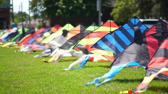 Colorful kites lined up on a green grassy field on a sunny day