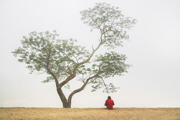 Bogura, Bangladesh - 28 November 2017: View of a lone figure in a vibrant red jacket sits serenely beneath a sprawling tree against a misty backdrop.