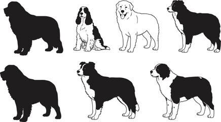 WebDog breeds, silhouette, line art, Newfoundland, Spaniel, Retriever, Collie, vector, black, pet, animal, illustration