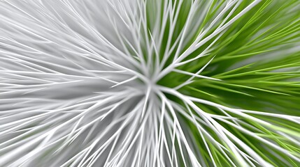 Obraz premium Surreal 3D Illustration of Ethereal Cladosporium Hyphal Structures in Green and White