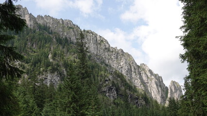 Widok wysokich i ostrych gór na tle niebieskiego nieba i z widocznymi porośniętymi lasem zboczami © tomo81