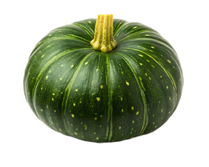 A single green kabocha squash with small white spots and a yellow stem on a black background